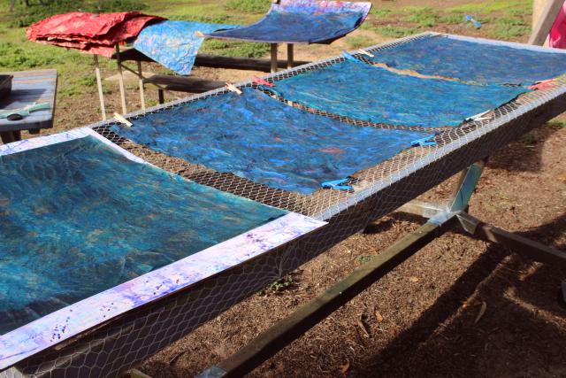 drying-in-hammock.jpg